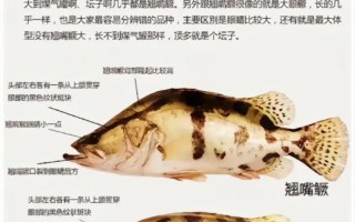 水产与水产学究竟有何不同？