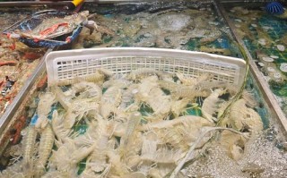 武汉水产品市场有几个？