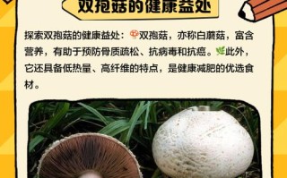 农科院双孢菇有哪些品种？