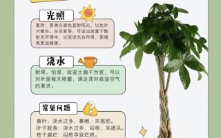 发财树怎么养才能更茂盛？