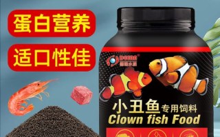 海水鱼国王喜欢吃什么饲料