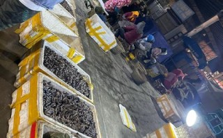 广州黄沙水产凌晨视频