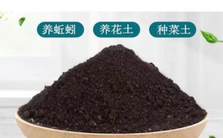 养蚯蚓用什么饲料养