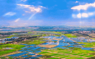 世界水产养殖发展动态