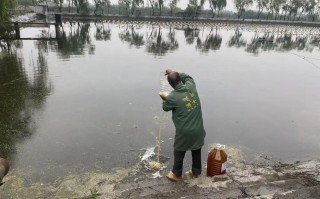 EM发酵菌制作方法有哪些关键步骤？