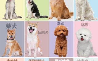 杂交品种名称到底有多少种？