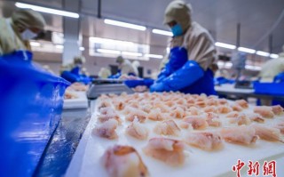 水产加工企业出口面临哪些挑战？
