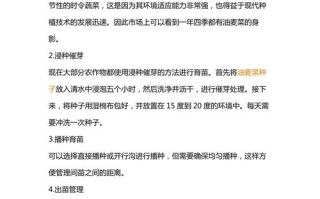 油麦菜何时种？方法有哪些？