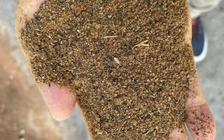 菜粕豆粕水产养殖，如何科学选择替代？