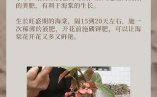 萝卜海棠花怎么养才好？