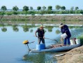 黄河滩最适合养殖什么意思
