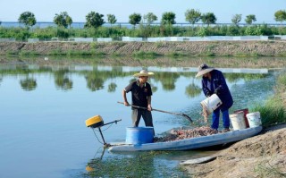 黄河滩最适合养殖什么意思