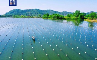 特色生态水库如何高效水产养殖？