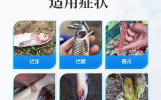 水产用恩诺沙星粉价格