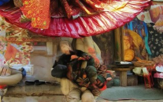 白鲢用什么饲料