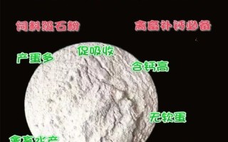 羊饲料中的石粉是什么