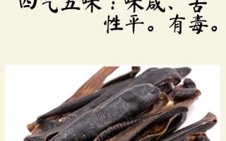 水蛭功效与食用方法有哪些？