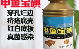 养殖甲鱼穿孔用什么药