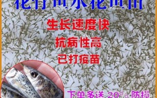 花骨鱼养殖喂什么饲料