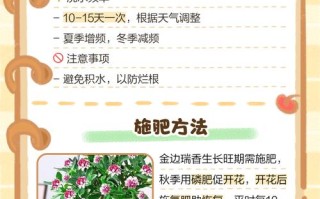 喷栽金边瑞香土怎么消毒？