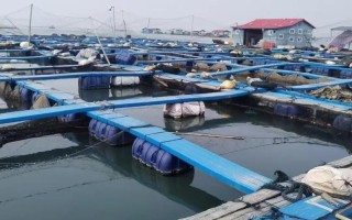 中国水产养殖大省是哪里？