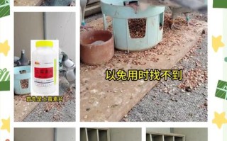 制作鸽子饲料用什么方法