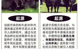 散养牛选什么品种好？