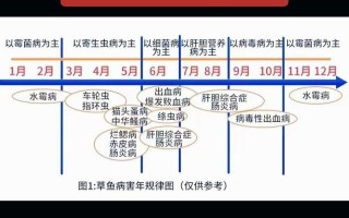 草鱼病怎么防？治了还反复怎么办？