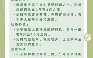 广东大蒜何时种？怎么种才高产？