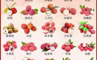 荔枝品种图片知多少？