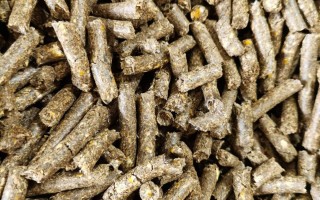 什么是微生物饲料