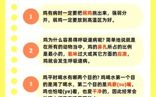 育成鸡性成熟的调控方法