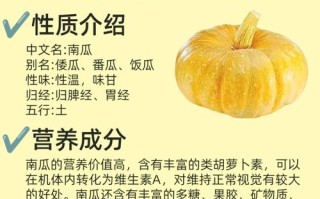 哪种南瓜品种营养价值最高？