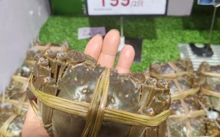 无锡苏南水产城大闸蟹品质如何？