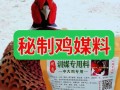 养七彩山鸡用什么饲料
