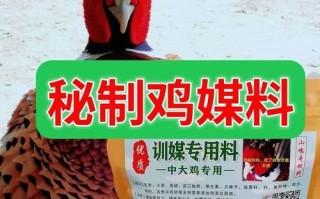 养七彩山鸡用什么饲料