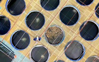 通城县水产发展现状如何？