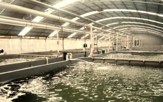 无土水产养殖设备水源