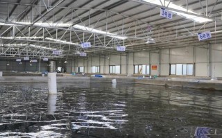 如何加强水产养殖设备监管？