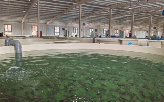 水产品养殖与水产养殖有何区别？