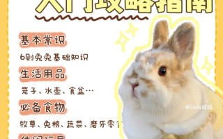 兔子养殖方法与视频教程具体怎么学？
