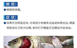 水产病害治疗有何独特难点？