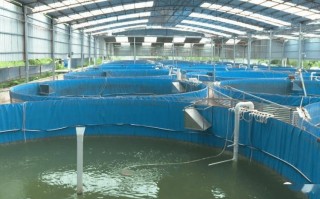 水产养殖发展空间为何被压缩？