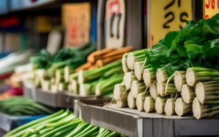 2016年莲藕多少价格