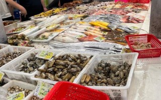 威海顺河街水产批发市场怎么样？