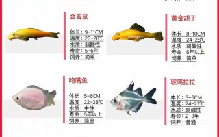 热带鱼淡水品种到底有多少种？