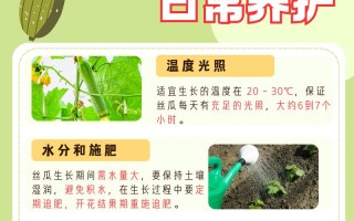 丝瓜的种植方法和时间种