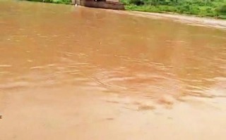 水灾过后养殖什么挣线