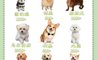 肉狗养殖选择那个品种好