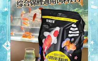 鲤鱼苗用什么饲料喂养
